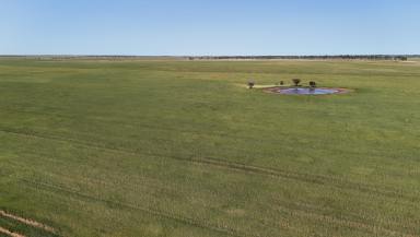 Farm For Sale - WA - Ogilvie - 6535 - Terara | Ogilvie WA  (Image 2)