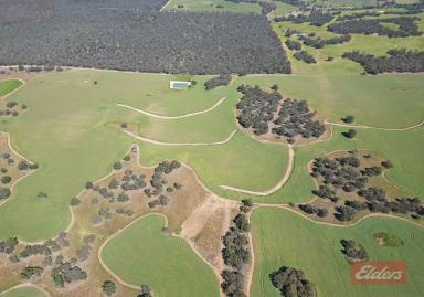 Farm Sold - WA - Wandering - 6308 - Exceptional Land Holding (Offered by EOI closing 30th November 2023)  (Image 2)