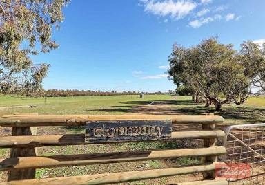 Farm For Sale - WA - Narrogin - 6312 - Exceptional Mixed Farming Opportunity  (Image 2)