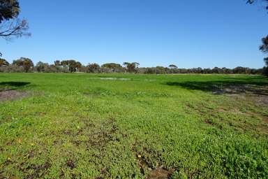 Farm For Sale - WA - Aldersyde - 6306 - Rare Rural Lifestyle Property  (Image 2)