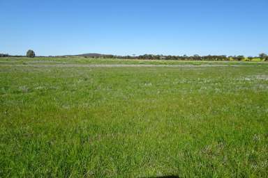 Farm For Sale - WA - Aldersyde - 6306 - Rare Rural Lifestyle Property  (Image 2)