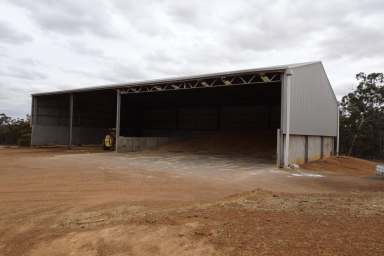 Farm Sold - WA - Boscabel - 6394 - Versatile Farm North of Kojonup  (Image 2)