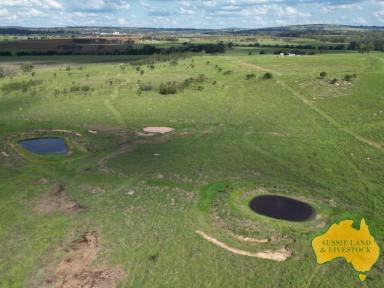 Farm For Sale - QLD - Inverlaw - 4610 - Lifestyle or Livestock - your choice  (Image 2)