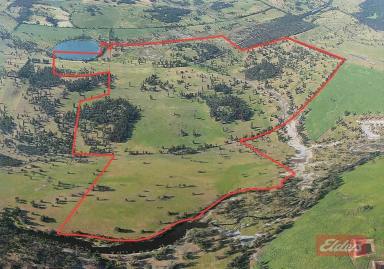 Farm Sold - WA - Bokal - 6392 - "SWANPOOLE" EXCEPTIONAL LAND HOLDING IN PRIME LOCATION  (Image 2)