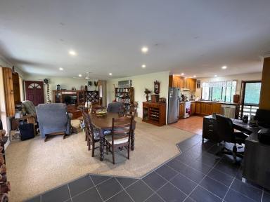 Farm For Sale - QLD - Kullogum - 4660 - SOLID FAMILY HOME ON 19 ACRES WITHIN JUST 5 MINUTES OF CHILDERS  (Image 2)