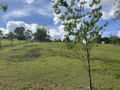 Farm For Sale - QLD - Chatsworth - 4570 - 1 1/2 ACRE BLOCK WITH COUNTRY CHARM  (Image 2)