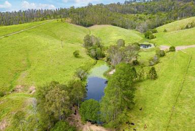 Farm For Sale - NSW - Talarm - 2447 - A Rural Holding of 92.45 Ha (228.5 Acres)  (Image 2)