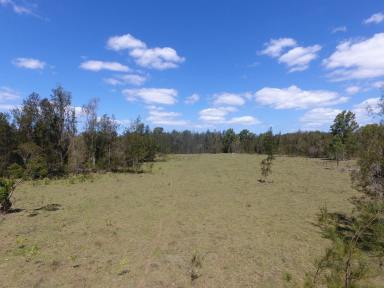 Farm For Sale - NSW - Clearfield - 2469 - Large Rural Holding - 535 acres  (Image 2)