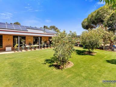 Farm For Sale - SA - Mount Pleasant - 5235 - 36.78 Ha of country excellence. Sheds, gardens, quality home, excellent fencing and bore. Exceptional lifestyle property to be proud to own.  (Image 2)