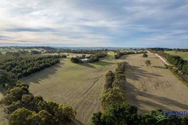 Farm Sold - SA - Mount Pleasant - 5235 - 59.9 Ha. Quality country Living. Large land holding, water licence. A productive, private & stunning property. EOI by 5 pm, 2nd Aug  (Image 2)