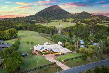 Farm Sold - QLD - Eumundi - 4562 - Unrivalled Mountain Views in the Noosa Hinterland  (Image 2)