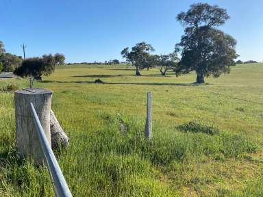 Farm For Sale - SA - Eden Valley - 5235 - 65 Ha, water licence, boutique vineyard, quality land close to Barossa. Your country residence awaits (STCC).  (Image 2)