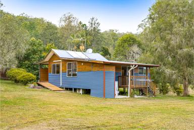 Farm For Sale - NSW - Coffee Camp - 2480 - FAMILIES OR INVESTORS TAKE NOTE  (Image 2)