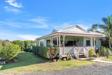 Farm For Sale - NSW - Kyogle - 2474 - PICTURE-PERFECT COUNTRY LIFESTYLE  (Image 2)