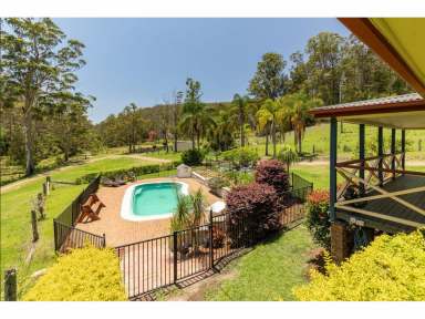 Farm For Sale - NSW - Willina - 2423 - Livestock on 428 Acres Near Coast; Family Home with Pool  (Image 2)