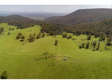 Farm For Sale - NSW - Willina - 2423 - Livestock on 428 Acres Near Coast; Family Home with Pool  (Image 2)