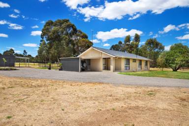 Farm For Sale - VIC - Daisy Hill - 3465 - 4.00HA (9.88 Acres) A Horse Lovers Paradise - Fully Refreshed & Updated Inside & Out  (Image 2)