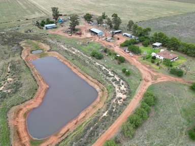 Farm For Sale - NSW - West Wyalong - 2671 - Ideal Mixed Farming Property  (Image 2)