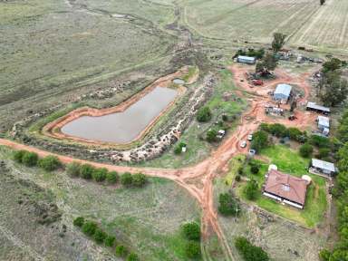 Farm For Sale - NSW - West Wyalong - 2671 - Ideal Mixed Farming Property  (Image 2)