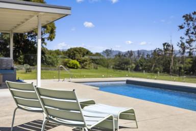 Farm For Sale - NSW - Bellingen - 2454 - Superb Lifestyle Property – Accommodation Options - Stunning Views - Bellinger River Frontage  (Image 2)