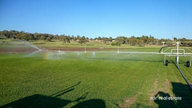 Farm Sold - NSW - Inverell - 2360 - IRRIGATION WITH WATER SECURITY  (Image 2)