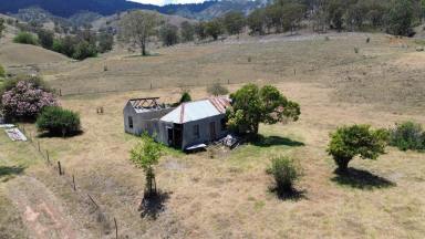 Farm For Sale - nsw - Stewarts Brook - 2337 - 49 Acres with a Dwelling Entitlement  (Image 2)