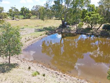 Farm For Sale - NSW - Wakool - 2710 - Where the Rivers Run  (Image 2)
