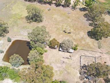 Farm For Sale - NSW - Wakool - 2710 - Where the Rivers Run  (Image 2)