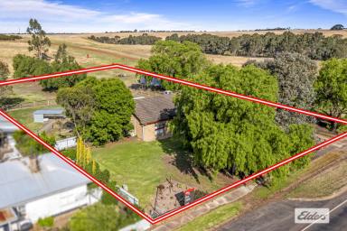 Farm Sold - VIC - Wickliffe - 3379 - An affordable tree change opportunity with the Ultimate 'Man Cave'  (Image 2)