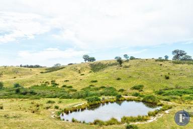 Farm For Sale - NSW - Taylors Flat - 2586 - Scenic Country Landscape  (Image 2)