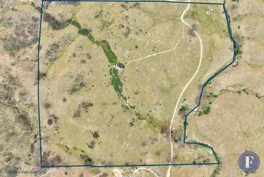 Farm For Sale - NSW - Taylors Flat - 2586 - Scenic Country Landscape  (Image 2)