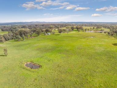 Farm For Sale - VIC - Axe Creek - 3551 - Significant Land Banking / Development Opportunity  (Image 2)