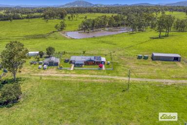 Farm Sold - NSW - Cedar Party - 2429 - 'LOYDON VALE' – CONVENIENT COASTAL GRAZING & LIFESTYLE  (Image 2)
