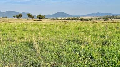 Farm For Sale - NSW - Gunnedah - 2380 - Productive grazing and mixed farming holding, boasting fertile soils and excellent water  (Image 2)