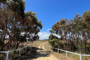 Farm Sold - VIC - Mepunga West - 3277 - Blue Ribbon Rural Land with Water  (Image 2)