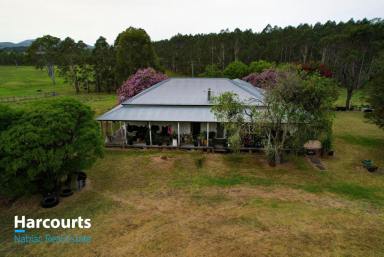 Farm Sold - NSW - Dyers Crossing - 2429 - 'River Frontage' 'Huge Potential' 'Great Location'  (Image 2)