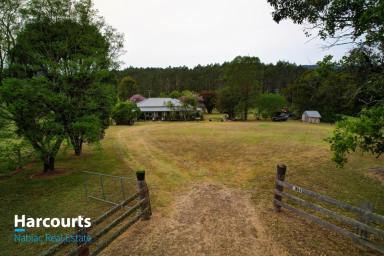 Farm Sold - NSW - Dyers Crossing - 2429 - 'River Frontage' 'Huge Potential' 'Great Location'  (Image 2)