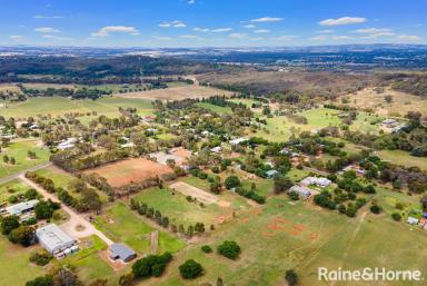 Farm Sold - NSW - San Isidore - 2650 - Horse lovers paradise  (Image 2)