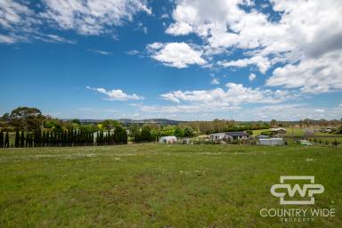 Farm For Sale - NSW - Glen Innes - 2370 - Exquisite Premium Building Block  (Image 2)