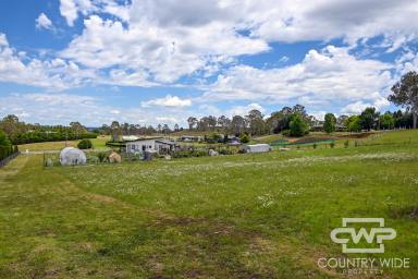 Farm For Sale - NSW - Glen Innes - 2370 - Exquisite Premium Building Block  (Image 2)