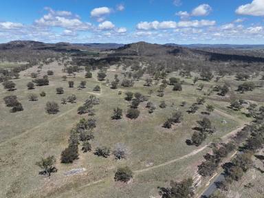 Farm For Sale - NSW - Glen Innes - 2370 - Grazing property in the renowned Rangers Valley.  (Image 2)