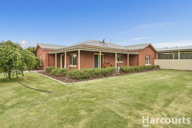 Farm Sold - VIC - Vectis - 3401 - Summer Living  (Image 2)