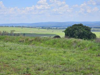 Farm For Sale - QLD - Tablelands - 4605 - RED SOIL PADDOCK  (Image 2)