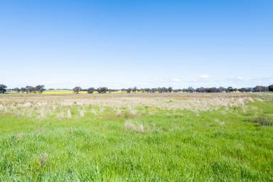 Farm For Sale - NSW - Cowra - 2794 - LIFESTYLE & PRODUCTION – PRIME COWRA COUNTRY, APPEALING HOME SITES  (Image 2)