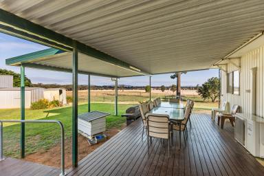 Farm For Sale - NSW - Milbrulong - 2656 - Rural Lifestyle With Acreage  (Image 2)