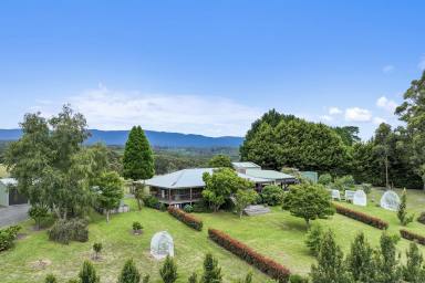 Farm For Sale - VIC - Icy Creek - 3833 - TWO DWELLINGS - SUPERB MOUNTAIN BACKDROP  (Image 2)