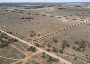 Farm For Sale - SA - Mount Mary - 5374 - COORA FARMS - AVAILABLE NOW  (Image 2)