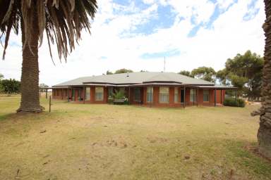 Farm For Sale - NSW - Wakool - 2710 - 1145 ACRES OF HIGHLY PRODUCTIVE SANDY LOAM SOIL TYPES  (Image 2)