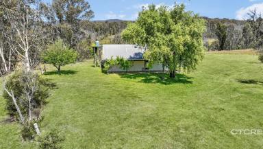Farm Sold - VIC - Wulgulmerang East - 3885 - Seldom Seen - Your High Country Escape  (Image 2)