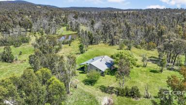 Farm Sold - VIC - Wulgulmerang East - 3885 - Seldom Seen - Your High Country Escape  (Image 2)